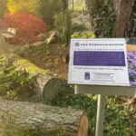 Memoriam-Garten entsteht auf dem Friedhof in Groß-Rechtenbach