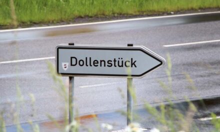 Bauausschussvorsitzender der Grünen legt Amt wegen Dollenstück nieder